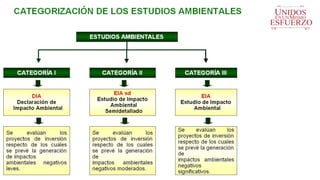 Proyectos comunitarios 13