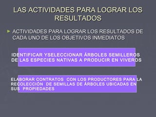 LAS ACTIVIDADES PARA LOGRAR LOSLAS ACTIVIDADES PARA LOGRAR LOS
RESULTADOSRESULTADOS
► ACTIVIDADES PARA LOGRAR LOS RESULTADOS DEACTIVIDADES PARA LOGRAR LOS RESULTADOS DE
CADA UNO DE LOS OBJETIVOS INMEDIATOSCADA UNO DE LOS OBJETIVOS INMEDIATOS
IDENTIFICAR YSELECCIONAR ÁRBOLES SEMILLEROS
DE LAS ESPECIES NATIVAS A PRODUCIR EN VIVEROS
ELABORAR CONTRATOS CON LOS PRODUCTORES PARA LA
RECOLECCIÓN DE SEMILLAS DE ÁRBOLES UBICADAS EN
SUS PROPIEDADES
 
