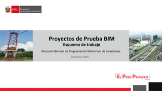Proyectos de Prueba BIM
Esquema de trabajo
Setiembre 2019
Dirección General de Programación Multianual de Inversiones
 
