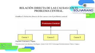 RELACIÓN DIRECTA DE LAS CAUSAS CON EL
PROBLEMA CENTRAL.
 