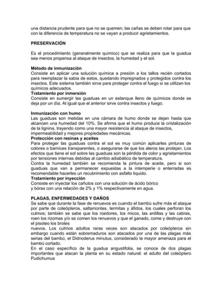una distancia prudente para que no se quemen; las cañas se deben rotar para que
con la diferencia de temperatura no se vayan a producir agrietamientos.

PRESERVACIÓN

Es el procedimiento (generalmente químico) que se realiza para que la guadua
sea menos propensa al ataque de insectos, la humedad y el sol.

Método de inmunización
Consiste en aplicar una solución química a presión a los tallos recién cortados
para reemplazar la sabia de estos, quedando impregnados y protegidos contra los
insectos. Este sistema también sirve para proteger contra el fuego si se utilizan los
químicos adecuados.
Tratamiento por inmersión
Consiste en sumergir las guaduas en un estanque lleno de químicos donde se
deja por un día. Al igual que el anterior sirve contra insectos y fuego.

Inmunización con humo
Las guaduas son metidas en una cámara de humo donde se dejan hasta que
alcancen una humedad del 10%. Se afirma que el humo produce la cristalización
de la lignina, trayendo como una mayor resistencia al ataque de insectos,
impermeabilidad y mejores propiedades mecánicas.
Protección con resinas y aceites
Para proteger las guaduas contra el sol es muy común aplicarles pinturas de
colores o barnices transparentes, o asegurarse de que los aleros las protejan. Los
efectos que tiene el sol sobre las guaduas son la pérdida de color y agrietamientos
por tensiones internas debidas al cambio adiabático de temperatura.
Contra la humedad también se recomienda la pintura de aceite, pero si son
guaduas que van a permanecer expuestas a la intemperie o enterradas es
recomendable hacerles un recubrimiento con asfalto liquido.
Tratamiento por inyección
Consiste en inyectar los cañutos con una solución de ácido bórico
y bórax con una relación de 2% y 1% respectivamente en agua.

PLAGAS, ENFERMEDADES Y DAÑOS
Se sabe que durante la fase de renuevos es cuando el bambú sufre más el ataque
por parte de coleópteros, saltamontes, termitas y áfidos, los cuales perforan los
culmos; también se sabe que los roedores, los micos, las ardillas y las cabras,
roen los rizomas y/o se comen los renuevos y que el ganado, come y destruye con
el pisoteo los brotes
nuevos. Los culmos adultos raras veces son atacados por coleópteros sin
embargo cuando están sobremaduros son atacados por una de las plagas más
serias del bambú, el Didnoderus minutus, considerado la mayor amenaza para el
bambú cortado.
En el caso específico de la guadua angustifolia, se conoce de dos plagas
importantes que atacan la planta en su estado natural: el adulto del coleóptero
Pudichumus
 