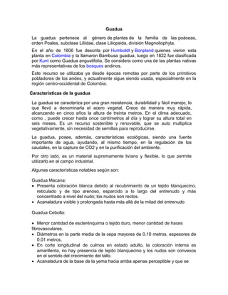 Guadua
La guadua pertenece al género de plantas de la familia de las poáceas,
orden Poales, subclase Liliidae, clase Liliopsida, división Magnoliophyta.
En el año de 1806 fue descrita por Humboldt y Bonpland quienes vieron esta
planta en Colombia y la llamaron Bambusa guadua, luego en 1822 fue clasificada
por Kunt como Guadua angustifolia. Se considera como una de las plantas nativas
más representativas de los bosques andinos.
Este recurso se utilizaba ya desde épocas remotas por parte de los primitivos
pobladores de los andes, y actualmente sigue siendo usada, especialmente en la
región centro-occidental de Colombia.
Características de la guadua
La guadua se caracteriza por una gran resistencia, durabilidad y fácil manejo, lo
que llevó a denominarla el acero vegetal. Crece de manera muy rápida,
alcanzando en cinco años la altura de treinta metros. En el clima adecuado,
como , puede crecer hasta once centímetros al día y lograr su altura total en
seis meses. Es un recurso sostenible y renovable, que se auto multiplica
vegetativamente, sin necesidad de semillas para reproducirse.
La guadua, posee, además, características ecológicas, siendo una fuente
importante de agua, ayudando, al mismo tiempo, en la regulación de los
caudales, en la captura de CO2 y en la purificación del ambiente.
Por otro lado, es un material supremamente liviano y flexible, lo que permite
utilizarlo en el campo industrial.
Algunas características notables según son:
Guadua Macana:
• Presenta coloración blanca debido al recubrimiento de un tejido blanquecino,
reticulado y de tipo arenoso, esparcido a lo largo del entrenudo y más
concentrado a nivel del nudo; los nudos son rectos.
• Acanaladura visible y prolongada hasta más allá de la mitad del entrenudo
Guadua Cebolla:
• Menor cantidad de esclerénquima o tejido duro, menor cantidad de haces
fibrovasculares.
• Diámetros en la parte media de la cepa mayores de 0.10 metros, espesores de
0.01 metros.
• En corte longitudinal de culmos en estado adulto, la coloración interna es
amarillenta, no hay presencia de tejido blanquecino y los nudos son convexos
en el sentido del crecimiento del tallo.
• Acanaladura de la base de la yema hacia arriba apenas perceptible y que se
 
