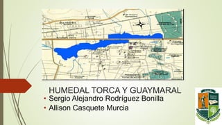 HUMEDAL TORCA Y GUAYMARAL
• Sergio Alejandro Rodríguez Bonilla
• Allison Casquete Murcia
 