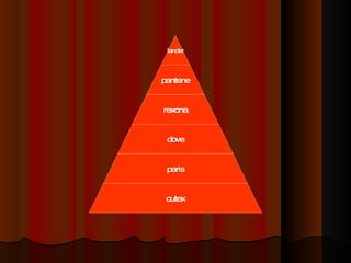 lander pantene rexona dove paris cutex 