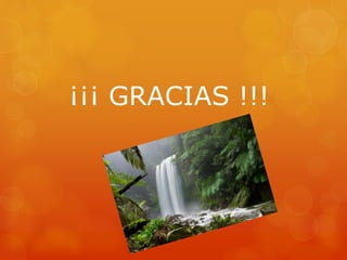 ¡¡¡ GRACIAS !!!
 