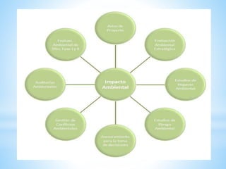 Proyectos estructura del informe final