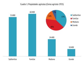 55.800
60.400
24.400
10.400
Subfamiliar Familiar Mediano Grande
Cuadro 1.Propiedades agrícolas (Censo agrícola 1955)
37%
40%
16%
7%
Subfamiliar
Familiar
Mediano
Grande
 