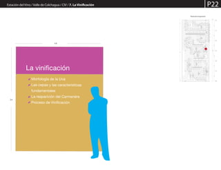 2,4
2,0
Estación del Vino / Valle de Colchagua / CIV / 7. La Vinificación P22
Planta de la Exposición
La vinificación
Morfología de la Uva
Las cepas y las características
fundamentales
La reaparición del Carmenére
Proceso de Vinificación
 
