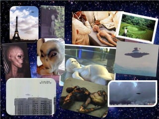 Proyecto Sharon Torres