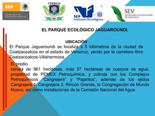 EL PARQUE ECOLÓGICO JAGUAROUNDI.
UBICACIÓN

El Parque Jaguaroundi se localiza a 5 kilómetros de la ciudad de
Coatzacoalcos en el estado de Veracruz, yendo por la carretera libre
Coatzacoalcos-Villahermosa.
El predio
consta de 961 hectáreas, más 57 hectáreas de cuerpos de agua,
propiedad de PEMEX Petroquímica, y colinda con los Complejos
Petroquímicos “Cangrejera” y “Pajaritos”, además de los ejidos
Cangrejera 1, Cangrejera 2, Rincón Grande, la Congregación de Mundo
Nuevo, así como instalaciones de la Comisión Nacional del Agua.

 