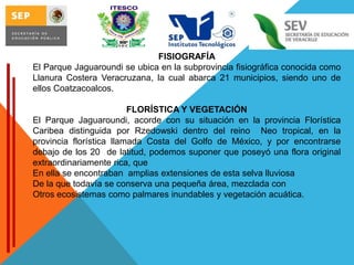 FISIOGRAFÍA
El Parque Jaguaroundi se ubica en la subprovincia fisiográfica conocida como
Llanura Costera Veracruzana, la cual abarca 21 municipios, siendo uno de
ellos Coatzacoalcos.
FLORÍSTICA Y VEGETACIÓN
El Parque Jaguaroundi, acorde con su situación en la provincia Florística
Caribea distinguida por Rzedowski dentro del reino Neo tropical, en la
provincia florística llamada Costa del Golfo de México, y por encontrarse
debajo de los 20 de latitud, podemos suponer que poseyó una flora original
extraordinariamente rica, que
En ella se encontraban amplias extensiones de esta selva lluviosa
De la que todavía se conserva una pequeña área, mezclada con
Otros ecosistemas como palmares inundables y vegetación acuática.

 