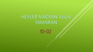 Proyectos informaticos