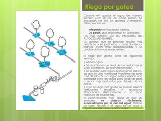 Riego por goteo
Consiste en aportar el agua de manera
localiza justo al pie de cada planta. Se
encargan de ello los goteros o emisores.
Estos pueden ser:
• Integrados en la propia tubería.
• De botón, que se pinchan en la tubería.
Los más baratos son los integrados NO
AUTOCOMPENSANTES.
Lo goteros que se pinchan resulta más
prácticos para jardineras o zonas donde las
plantas estén más desperdigadas y se
pincha ahí donde se necesiten.
El riego por goteo tiene las siguientes
ventajas:
• Ahorra agua.
• Se mantienen un nivel de humedad en el
suelo constante, sin encharcamiento.
• Se pueden usar aguas ligeramente salinas,
ya que la alta humedad mantiene las sales
más diluidas. Si usas agua salina, aporta una
cantidad extra de agua para lavar las sales
a zonas más profundas por debajo de las
raíces.
• Con el riego por goteo se puede aplicar
fertilizantes disueltos y productos
fitosanitarios directamente a la zona
radicular de las plantas.
El inconveniente más típico es que los
emisores se atascan fácilmente,
especialmente por la cal del agua. Precisa
un buen filtrado si el agua es de pozo y
agua cuando menos caliza, mejor.
 
