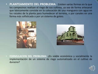 • PLANTEAMIENTO DEL PROBLEMA: Existen varias formas en la que
los campesinos realizan el riego de sus cultivos, ya sea de forma artesanal
que básicamente consiste en la colocación de una manguera con agua en
los raizales de la planta para humedecer el terreno, o por canales en una
forma más sofisticada o por un sistema de goteo.

• FORMULACION DEL PROBLEMA: ¿Es viable económica y socialmente la
implementación de un sistema de riego automatizado en el cultivo de
durazno?

 
