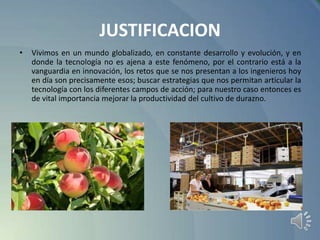 JUSTIFICACION
•

Vivimos en un mundo globalizado, en constante desarrollo y evolución, y en
donde la tecnología no es ajena a este fenómeno, por el contrario está a la
vanguardia en innovación, los retos que se nos presentan a los ingenieros hoy
en día son precisamente esos; buscar estrategias que nos permitan articular la
tecnología con los diferentes campos de acción; para nuestro caso entonces es
de vital importancia mejorar la productividad del cultivo de durazno.

 