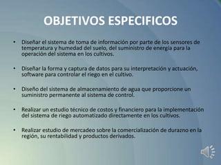 OBJETIVOS ESPECIFICOS
• Diseñar el sistema de toma de información por parte de los sensores de
temperatura y humedad del suelo, del suministro de energía para la
operación del sistema en los cultivos.
• Diseñar la forma y captura de datos para su interpretación y actuación,
software para controlar el riego en el cultivo.
• Diseño del sistema de almacenamiento de agua que proporcione un
suministro permanente al sistema de control.
• Realizar un estudio técnico de costos y financiero para la implementación
del sistema de riego automatizado directamente en los cultivos.

• Realizar estudio de mercadeo sobre la comercialización de durazno en la
región, su rentabilidad y productos derivados.

 