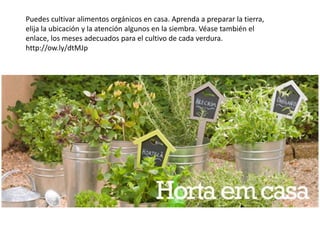 Puedes cultivar alimentos orgánicos en casa. Aprenda a preparar la tierra,
elija la ubicación y la atención algunos en la siembra. Véase también el
enlace, los meses adecuados para el cultivo de cada verdura.
http://ow.ly/dtMJp
 