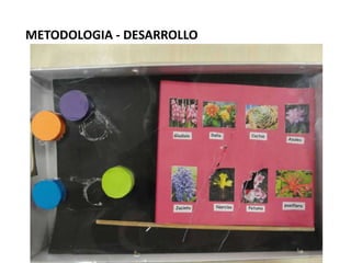 METODOLOGIA - DESARROLLO
 