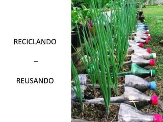 RECICLANDO

    –

REUSANDO
 