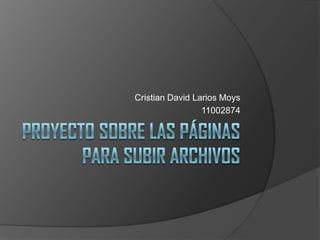 Cristian David Larios Moys
                 11002874
 
