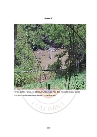 Anexo 8.

Rivera del rio Fonce, se observa turbio. Esto nos deja muestra de que existe
una abundante concentración de contaminación.

[30]

 