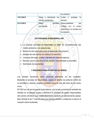 los arbolitos.
14/11/2013

Riego y deshierbar los Cuidar
árboles sembrados.

21/11/2013

Riego
sembrados.

y

proteger

la

siembra.

arbolitos Responsabilidad
cuidado

con

el

del
medio

ambiente en el cuidado de
los árboles.

ACTIVIDADES A DESARROLLAR
 La primera actividad es desarrollar un taller de concientización del
medio ambiente a los estudiantes.
 Buscar el sitio adecuado para el desarrollo del proyecto.
 Arreglo del sitio donde se realizara la siembra.
 Limpieza del lugar, picado y llenado de materia orgánica.
 Excavar para la siembra de las plantas ornamentales (Limoncillo).
 Sembrado de las plantas.

7 RAZONES PARA PLANTAR UN ÁRBOL

Los árboles funcionan como enormes pulmones en las ciudades.
Mediante el proceso de fotosíntesis, captan el dióxido de carbono (CO2) de
la atmósfera y liberan oxígeno necesario para la vida del resto de los seres
vivos.
El CO2 es uno de los gases invernaderos, por lo que aumentar la cantidad de
árboles en el planeta ayuda a disminuir la cantidad de gases responsables
del cambio climático que indefectiblemente conduce al calentamiento global.
Bien Simple te da 7 razones para que plantes árboles y colabores a reducir el
impacto sobre el planeta.

11

 