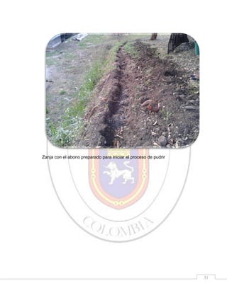 Zanja con el abono preparado para iniciar el proceso de pudrir

31

 