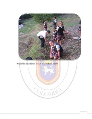 Marcando los arbolitos con un encerrado en piedra

41

 