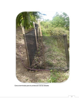 Cerca terminada para la protección de los árboles

44

 