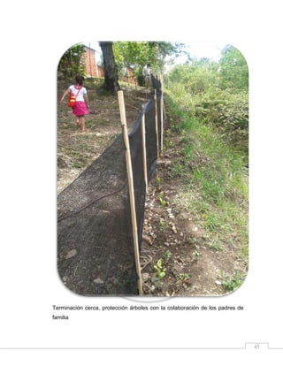 Terminación cerca, protección árboles con la colaboración de los padres de
familia

45

 