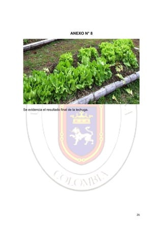 26
ANEXO N° 8
Se evidencia el resultado final de la lechuga.
 
