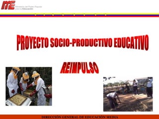 DIRECCIÓN GENERAL DE EDUCACIÓN MEDIA PROYECTO SOCIO-PRODUCTIVO EDUCATIVO REIMPULSO 