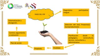 FASES DEL PSP
Diagnóstico participativo
integral.
Planificación desde lo
pedagógico, sociocultural,
técnico, comunitario y
administrativo
Plan de acción
Selección del (los) Proyecto(s)
Socioproductivo(s)
Finalidad.
Propósito.
Control, seguimiento
y evaluación
Sistematización y
divulgación.
 
