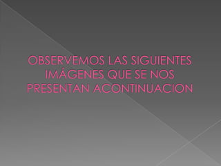 OBSERVEMOS LAS SIGUIENTES IMÁGENES QUE SE NOS PRESENTAN ACONTINUACION 