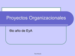 Proyectos Organizacionales 
Tinte Micaela 
6to año de EyA 
 