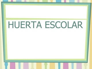 HUERTA ESCOLAR 