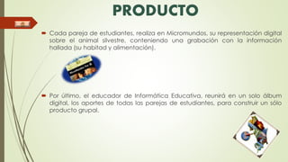 PRODUCTO 
 Cada pareja de estudiantes, realiza en Micromundos, su representación digital 
sobre el animal silvestre, conteniendo una grabación con la información 
hallada (su habitad y alimentación). 
 Por último, el educador de Informática Educativa, reunirá en un solo álbum 
digital, los aportes de todas las parejas de estudiantes, para construir un sólo 
producto grupal. 
 