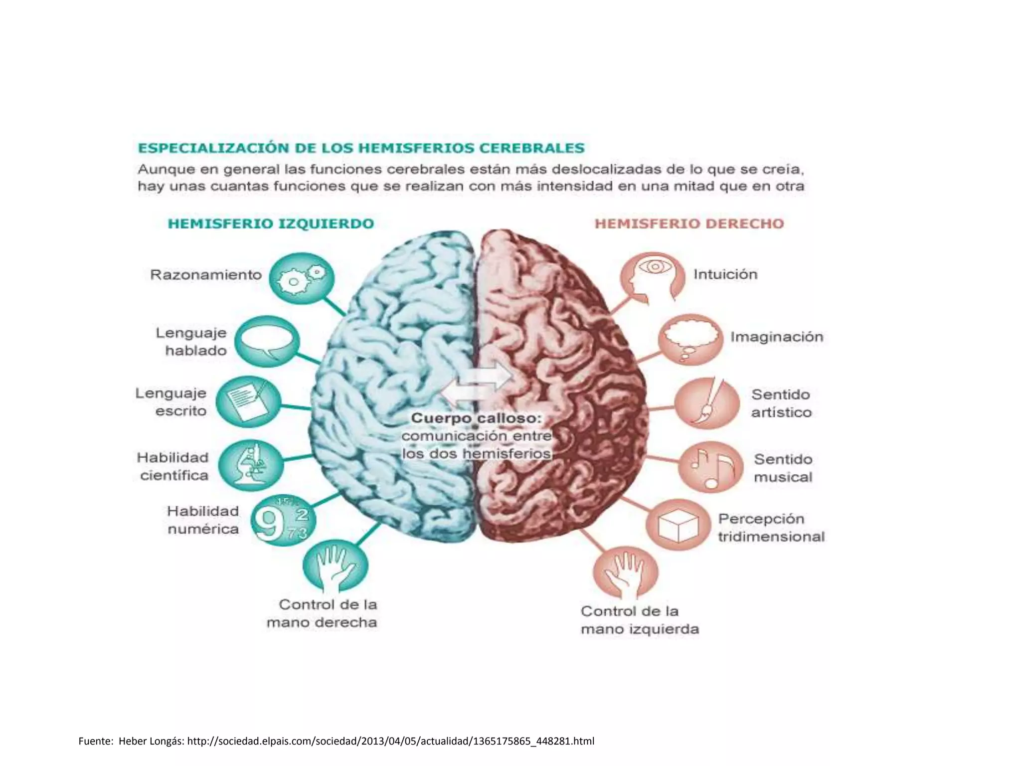 Fuente: Heber Longás: http://sociedad.elpais.com/sociedad/2013/04/05/actualidad/1365175865_448281.html
 