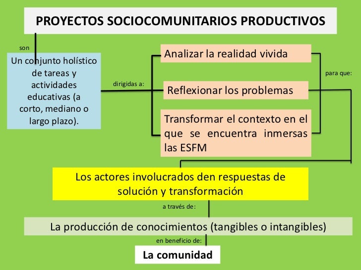 Proyectos productivos 1 Proyectos productivos 1