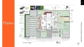Planta
12
Proyectos
sostenibles
en
Rep.dom.
 