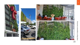 25
Proyectos
sostenibles
en
Rep.dom.
 