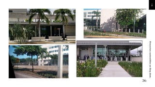 36
Proyectos
sostenibles
en
Rep.dom.
 