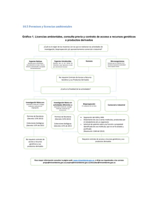 10.5 Permisos y licencias ambientales
Gráfico 1. Licencias ambientales, consulta previa y contrato de acceso a recursos genéticos
o productos derivados
¿Cuál es el origen de las muestras con las que se realizaran las actividades de
investigación, bioprospección y/o aprovechamiento comercial o industrial?
Especies Nativas
Aquellas que se distribuyen
naturalmente en el país. (Forma
silvestre, domesticada o escapada
de domesticación)
Especies Introducidas
Aquellas que no son nativas de
Colombia y que ingresaron al país
por intervención humana
Humano Microorganismos
Siempre que se colecten en el
territorio nacional se entenderá
como especie nativa
No requiere Contrato de Acceso a Recurso
Genético y sus Productos Derivados
¿Cuál es la finalidad de las actividades?
Investigación Básica en:
Sistemática molecular, ecología
molecular, evolución y/o
biogeografía.
Investigación Básica en
actividades diferentes a:
Sistemática molecular, ecología
molecular, evolución y/o
biogeografía.
Bioprospección
En cualquiera de sus fases
Comercial o Industrial
Permiso de Recolecta
(Decreto 1376 2013)
Colecciones biológicas
(Decreto 1375 de 2013
Permiso de Recolecta
(Decreto 1376 2013)
Colecciones biológicas
(Decreto 1375 de 2013
 Separación del ADN y ARN
 Aislamiento de una o varias moléculas, producidas por
el metabolismo de un organismo
 Solicitud de patente sobre una función o propiedad
identificada de una molécula, que no se ha aislado y
purificado
(Resolución 1348 del 2014)
No requiere contrato de
acceso a recursos
genéticos y sus
productos derivados
Requiere contrato de acceso a recursos genéticos y sus
productos derivados
Para mayor información consultar la página web: www.minambiente.gov.co, o dirija sus inquietudes a los correos:
projas@minambiente.gov.co;cospina@minambiente.gov.co;hescobar@minambiente.gov.co
 