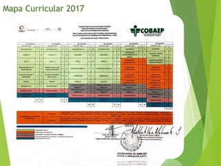Mapa Curricular 2017
 