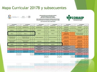 Mapa Curricular 2017B y subsecuentes
 