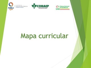 Mapa curricular
 