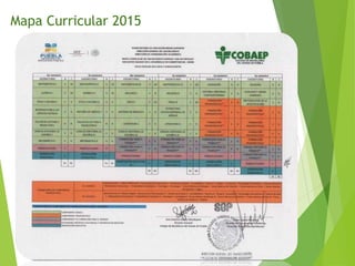 Mapa Curricular 2015
 