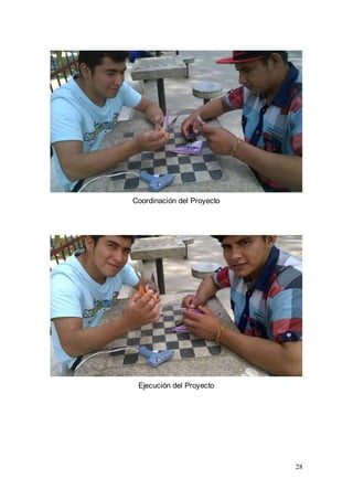 28
Coordinación del Proyecto
Ejecución del Proyecto
 