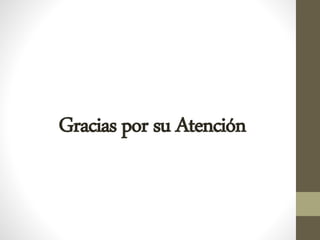 Gracias por su Atención
 