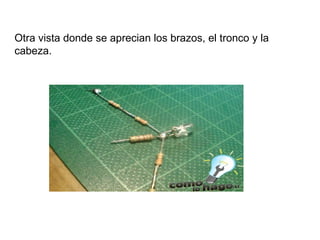 Otra vista donde se aprecian los brazos, el tronco y la cabeza.   